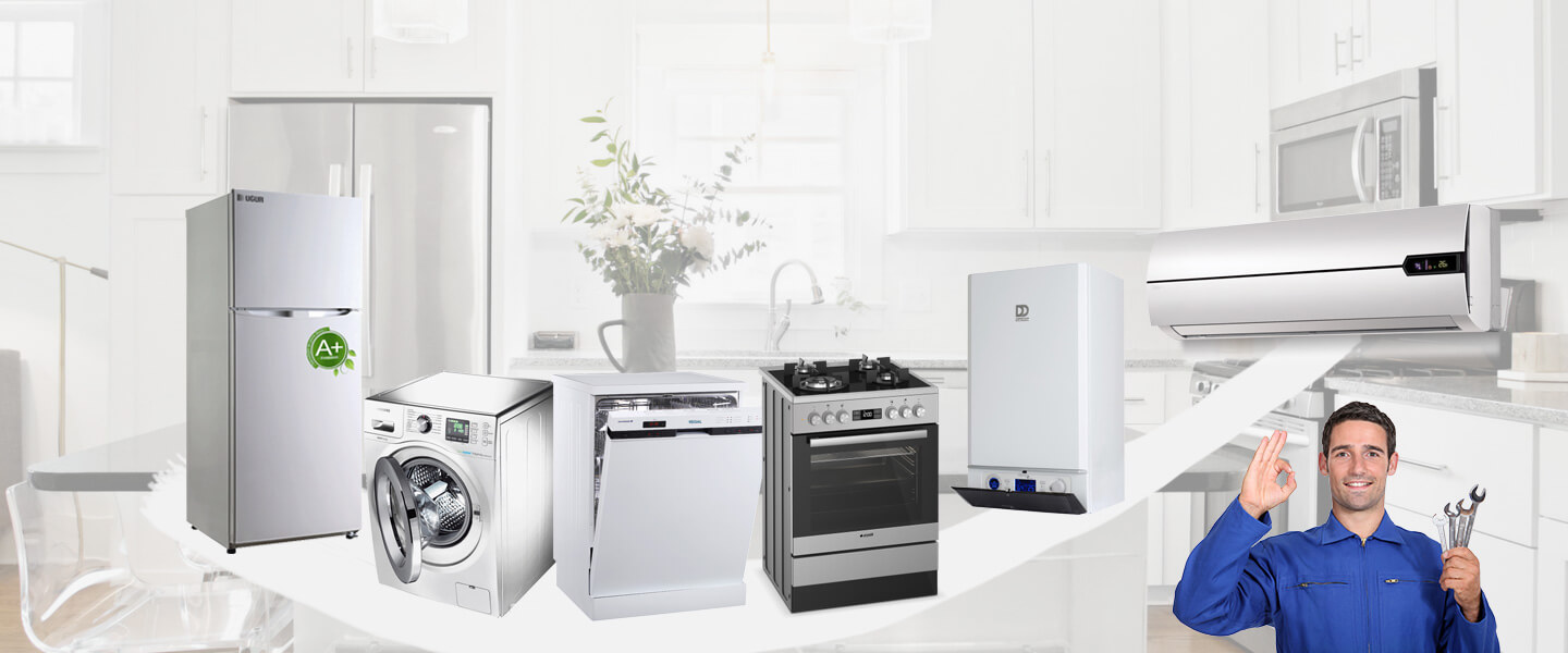 Mihalıççık Vaillant Servisi